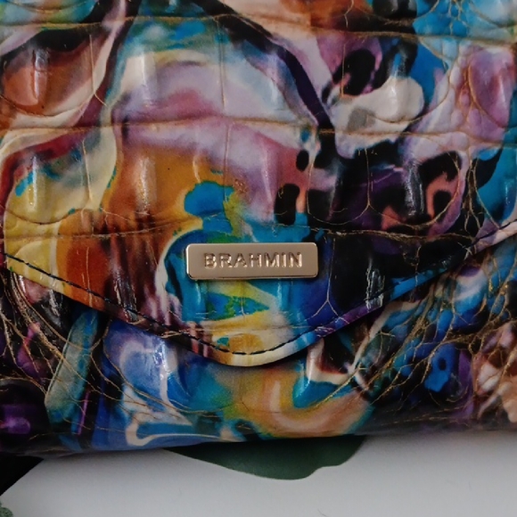 Brahmin Multicolor Artistic Clutch